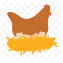 Mother Incubates Eggs Chicken Food Icon