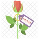 Rose Bud Beautiful Icon