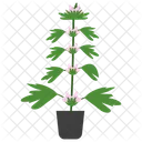 Motherwort Potted Plant  Icon