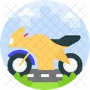 Motorrad  Symbol