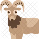 Mouflon  Icon