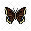 Mourning Cloak Spring Icon