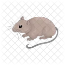 Mouse Mice Animal Icon