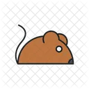 Mouse Rat Animal Icon