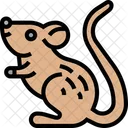 Mouse Rat Rodent Icon