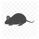 Mouse Animal Wildlife Icon