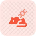 Mouse Dna  Icon