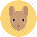 Mouse Rat Rodent Icon