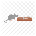 Rat Mouse Animal 아이콘