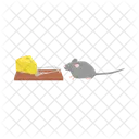 Rat Mouse Animal Icon