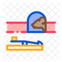 Mousetrap  Icon
