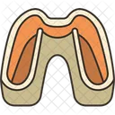 Mouth Guards Dental Icon