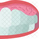 Mouth Cancer Oral Icon