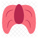 Mouth Throat Organ Icon