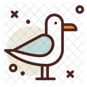 Mowe Mowenvogel Vogel Symbol