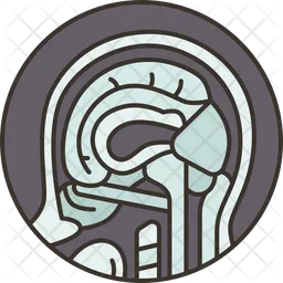 Mri  Icon