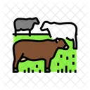 Mucca  Icon