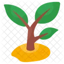 Mud Plant Sprout Growing Plant Icon