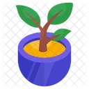 Mud Plant Sprout Growing Plants Icon