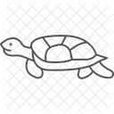 Mud Turtle Mudturtle Reptile Icon