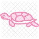 Mud Turtle Icon