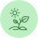 Muda Sob O Sol Muda Sol Ícone