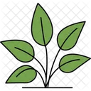 Mudas Planta Jovem Crescimento Da Planta Ícone