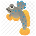 Mudskipper Icon