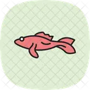 Mudskipper Ocean Marine Icon