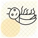 Muerte Insecto Reloj Icono