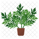 Mugwort Potted Plant  Icon