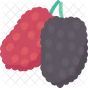 Mulberries  Icon