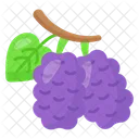 Mulberry Food Fruit Icon