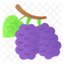 Mulberry Food Fruit Icon