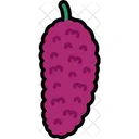 Mulberry Fruit Healthy Icon