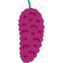 Mulberry Vegetable Food Icon