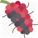 Mulberry Berry Fruit Icon