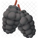 Mulberry Healthy Fruit Icon