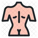 Anatomia Saude Corpo Icon