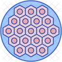 Multicellular Cell Colony  Icon