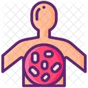 Multicellular cell colony  Icon