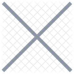 Multiply Sign Icon