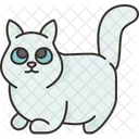 Munchkin Kitten Breed Icon