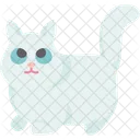 Munchkin Kitten  Icon