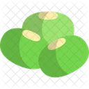 Mung Beans Nuts Legumes Icon