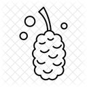Mûrier noir  Icône