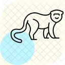 Musaraigne Icône