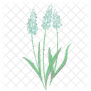 Muscari Yellow Flower Flowering Plant Icon