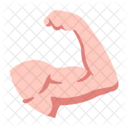 Muscle du bras  Icône
