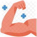 Muscle  Icon